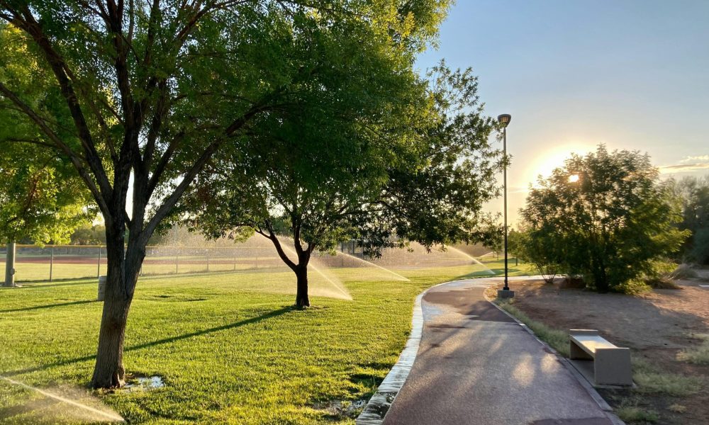Sunlit park with pathway and sprinklers watering lush green grass and trees.