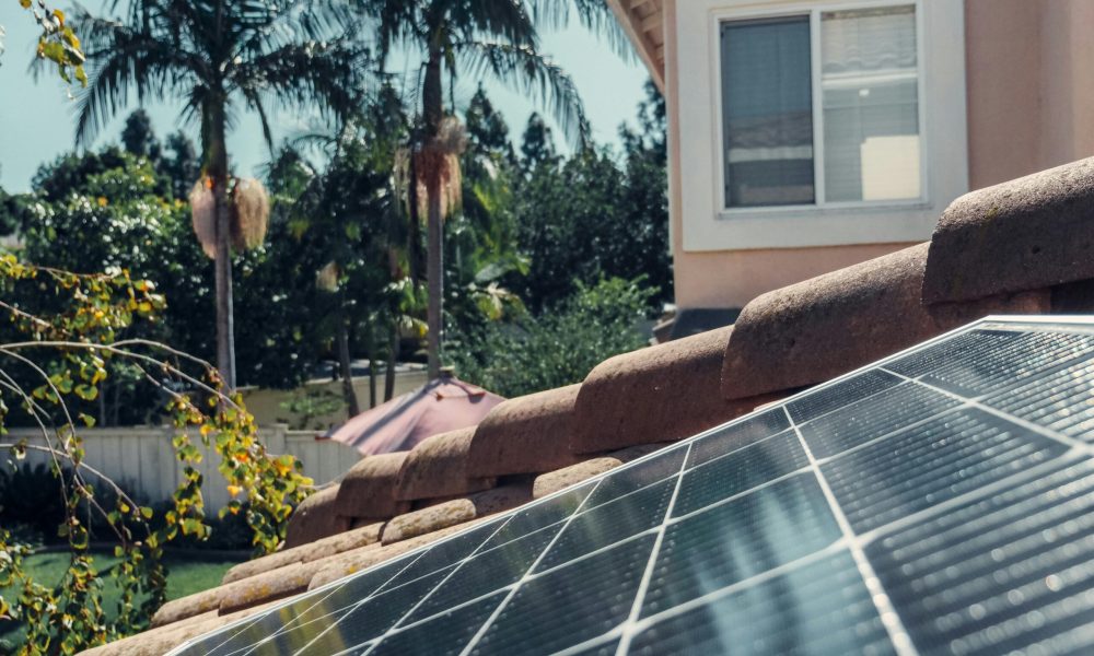 Close-up of solar panels on a rooftop with palm trees and a house in the background.